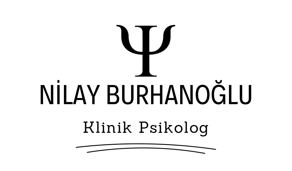 nilayburhanoglu.com